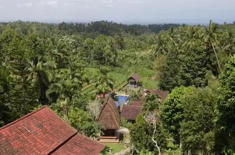 Campagne vers Belimbing, Bali - Indonésie