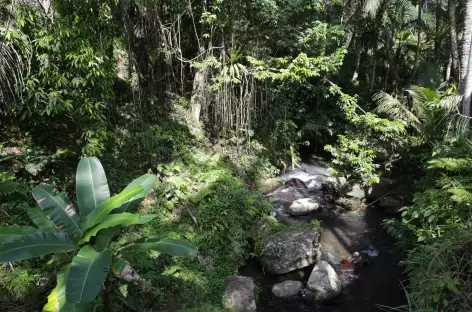 A proximité du temple de Gunung Kawi, Bali - Indonésie - 