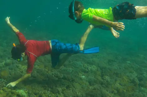 Snorkeling - Indonésie - TIRAWA