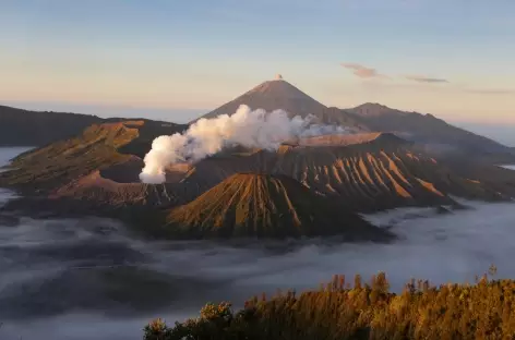 Volcans Bromo et Semeru depuis Penanjakan, Java - Indonésie - 