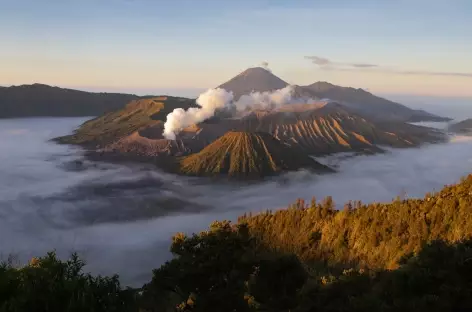 Volcans Bromo et Semeru depuis Penanjakan, Java - Indonésie