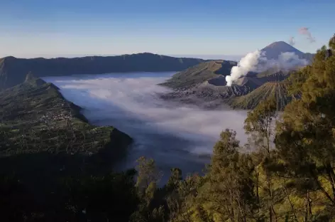 Volcans Bromo et Semeru depuis Penanjakan, Java - Indonésie