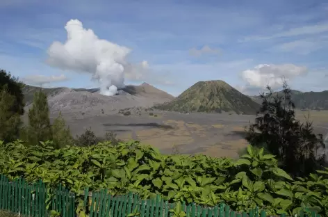 Volcan Bromo, caldeira du Tengger, Java - Indonésie