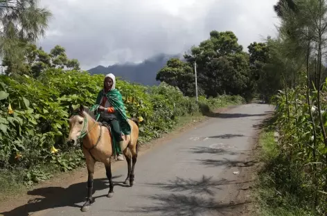 Village de Cemorolawang, Java - Indonésie