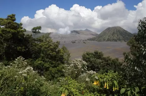 Volcan Bromo, caldeira du Tengger, Java - Indonésie