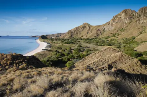 Ile de Padar, Archipel de Komodo - Indonésie - TIRAWA