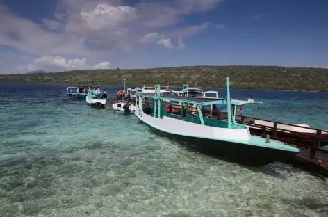 Ilot de Menjangan, Bali - Indonésie