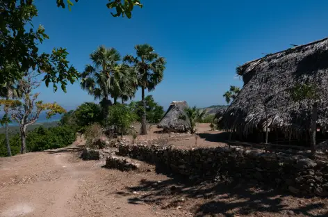 Ile de Savu