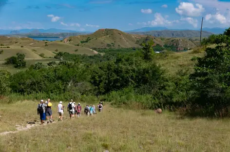 Parc National de Komodo