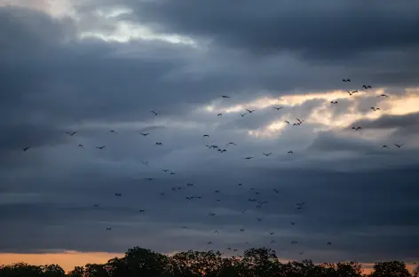 Parc National de Komodo