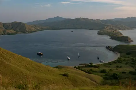 Parc National de Komodo