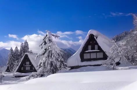 Maisons aux toits de chaume de Shirakawago, Alpes Japonaises - Japon