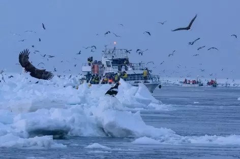 Sortie en brise-glace à Rausu, Hokkaido - Japon