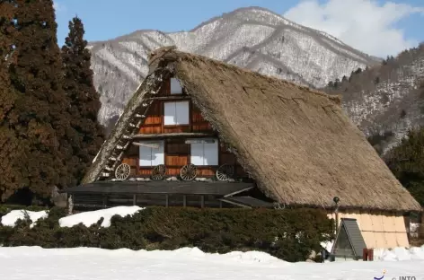Maisons aux toits de chaume de Shirakawago, Alpes Japonaises - Japon