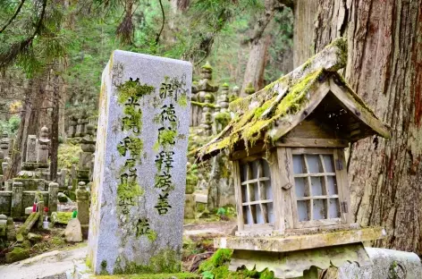 Dans la nécropole sacrée d'Okuno-in, Koya San - Japon