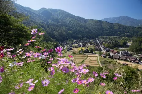 Village de Shirakawago dans les Alpes Japonaises - Japon