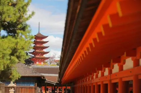 Ile de Miyajima - Japon