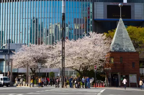 Centre de Tokyo - Japon