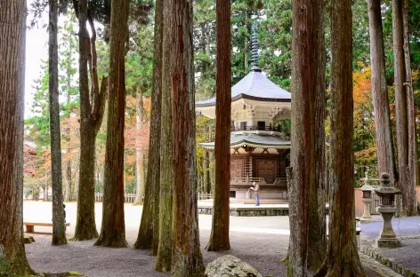 Compexe de temples de Danjo Garan, Koya San - Japon