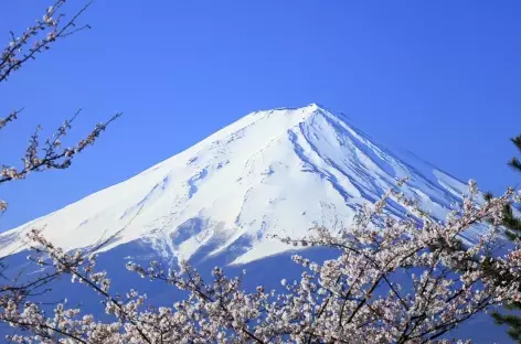 Le Mont Fuji, à 3776 m d'altitude - Japon