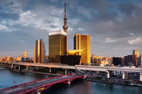 Vue sur Tokyo depuis la rivière Sumida - Japon