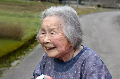 Dans la campagne vers Hikimi - Japon