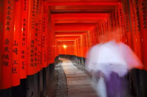 Fushimi Inari avec ses milliers de toriis, Kyoto - Japon