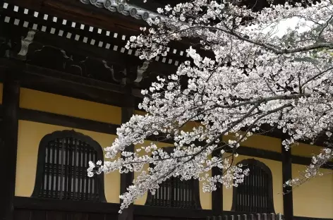 Temple de Nanzeji à Kyoto - Japon