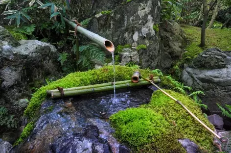 Jardin du musée d'art Adachi, Matsue - Japon