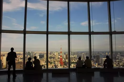 Vue sur la ville depuis Mori Tower, Tokyo - Japon