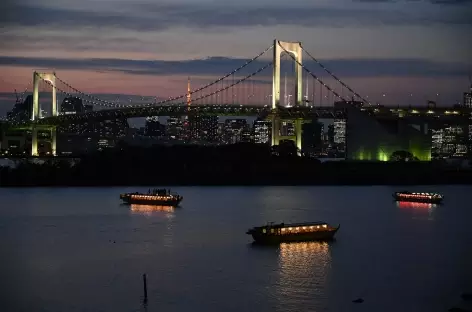 La baie de Tokyo de nuit - Japon