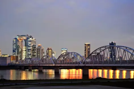 Osaka, vue sur le Umeda Sky Building - Japon