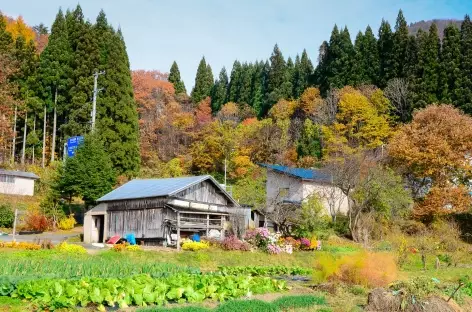 Rivages du lac Tazawako - Japon