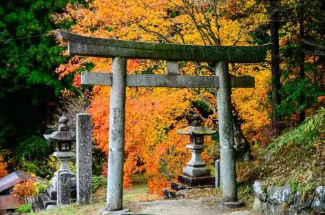 Sur le chemin de Nakasendo, entre Magome et Tsumago - Japon