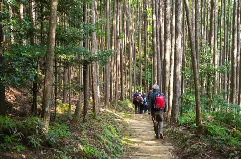 Sur les chemins de pèlerinage de Kumano Kodo - Japon