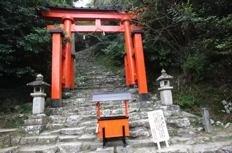 Au pied des escaliers menant au sanctuaire de Kamikura, Shingu - Japon