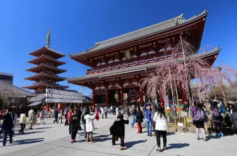 Temple bouddhiste de Senso-ji, quartier d'Asakusa à Tokyo - Japon - 