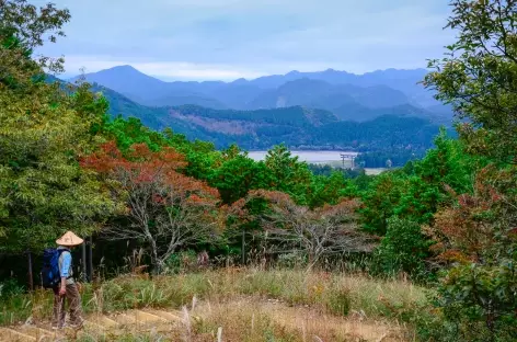 Sur les chemins sacrés de Kumano Kodo, avant Kumano Hongu Taisha - Japon