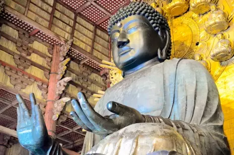 Daibutsu, grand bouddha de bronze de 16 m de haut, Nara - Japon