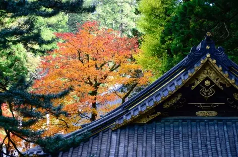 Sanctuaire de Taiyuin, Nikko - Japon