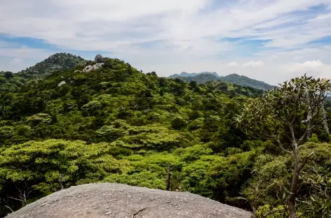 Rando sur les hauteurs de Yakushima - Japon