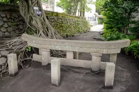 Un torii enseveli par de la cendre volcanique, pentes du Sakurajima - Japon