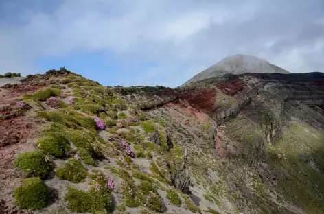 Rando menant au Takachiho-no-mine (1574 m) - Japon