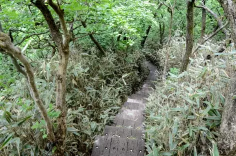 Rando menant au Mont Karakunidake (1700 m) - Japon