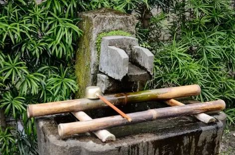 Dans le jardin de Sengan-en, Kagoshima - Japon