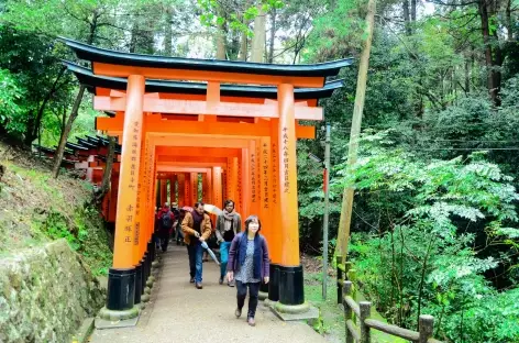 Les nombreux tunnels de torii à Fushimi Inari, Kyoto - Japon