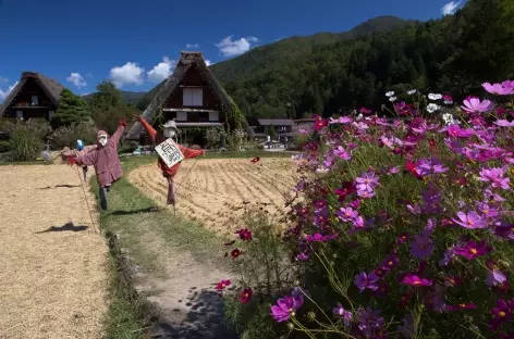 Village traditionnel de Shirakawago, Alpes Japonaises - Japon - 