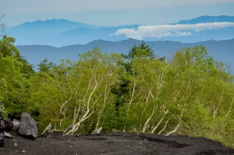 Randonnée en balcon face au Mont Fuji - Japon