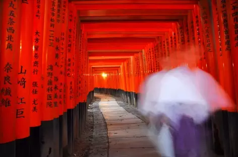 Fushimi Inari avec ses milliers de toriis, Kyoto - Japon - 