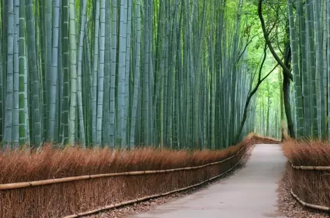 A Kyoto - Japon - 
